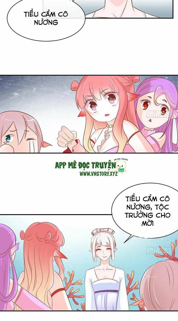 Cẩm Lý Thiếu Nữ Của Tôi: Chapter 24
