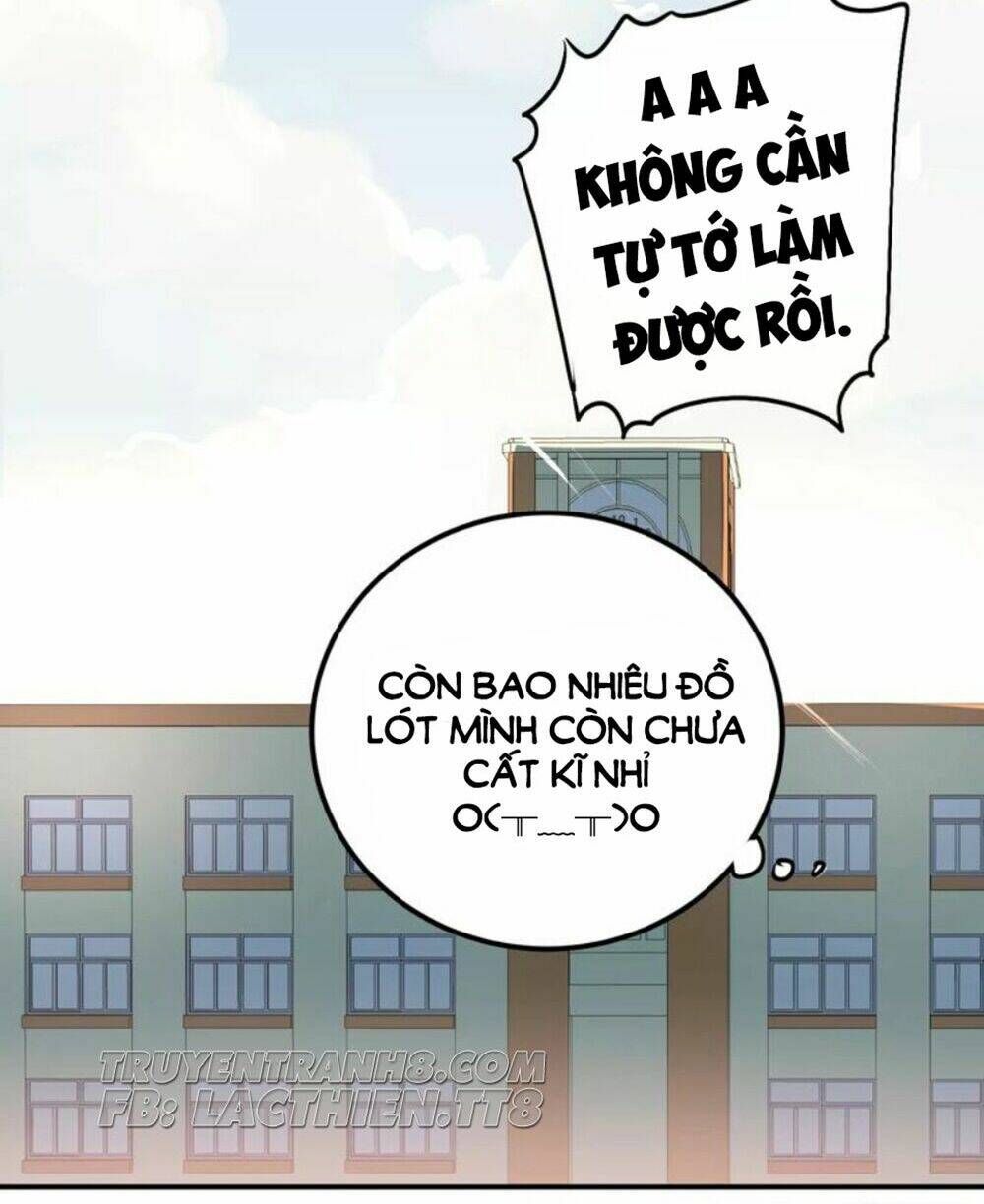 Đầu Gấu Biết Yêu: Chapter 46