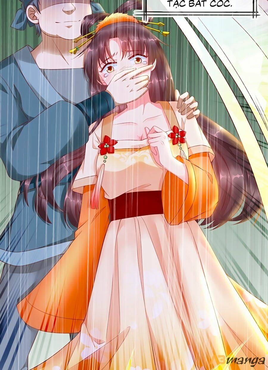 Vương Phi Là Đoá Bạch Liên Hoa: Chapter 1