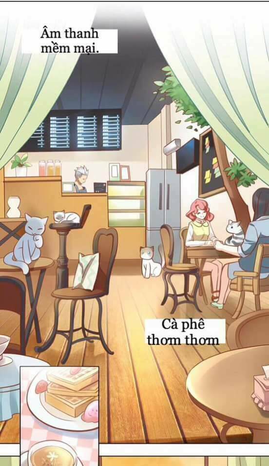 Dưới Móng Vuốt Mèo: Chapter 8
