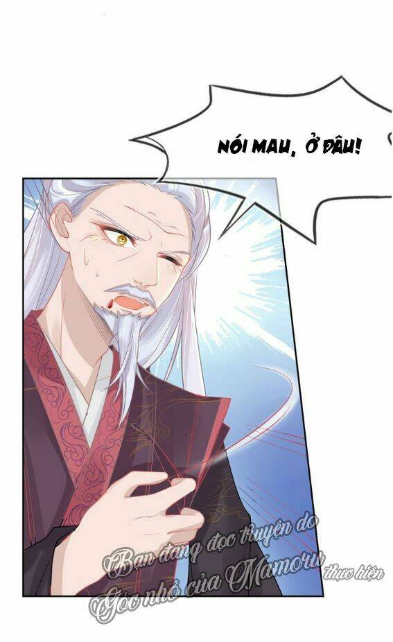 Bổn Vương Phi Có Roi Trong Tay: Chapter 5