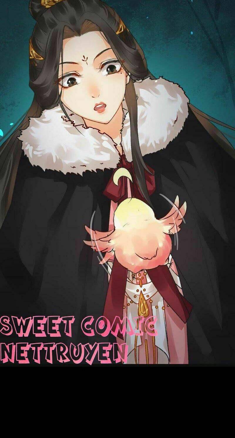 Thịnh Sủng Kiều Nữ Trở Về Triều Ca: Chapter 5