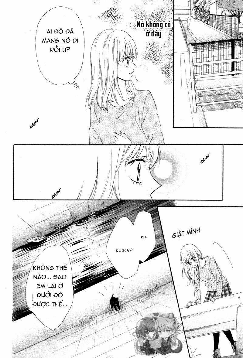 Koi Ni Naranai Wake Ga Nai: Chapter 1