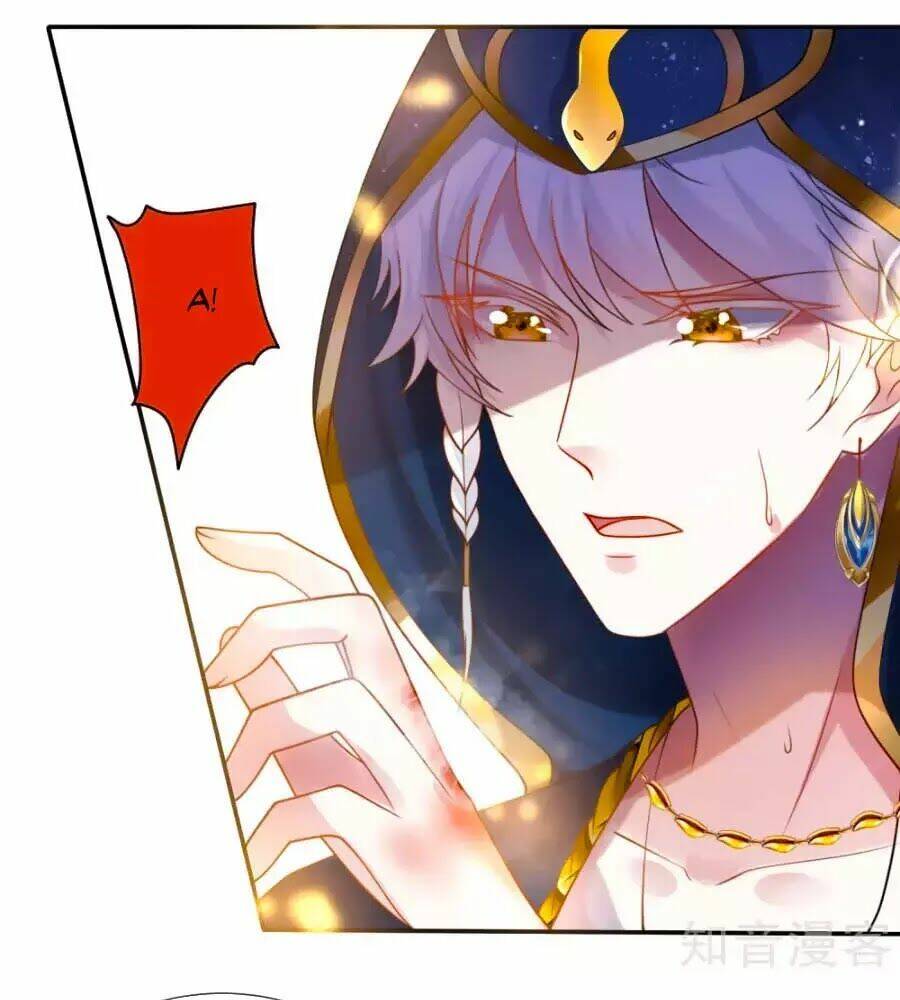 Sủng Hậu Của Vương: Chapter 19