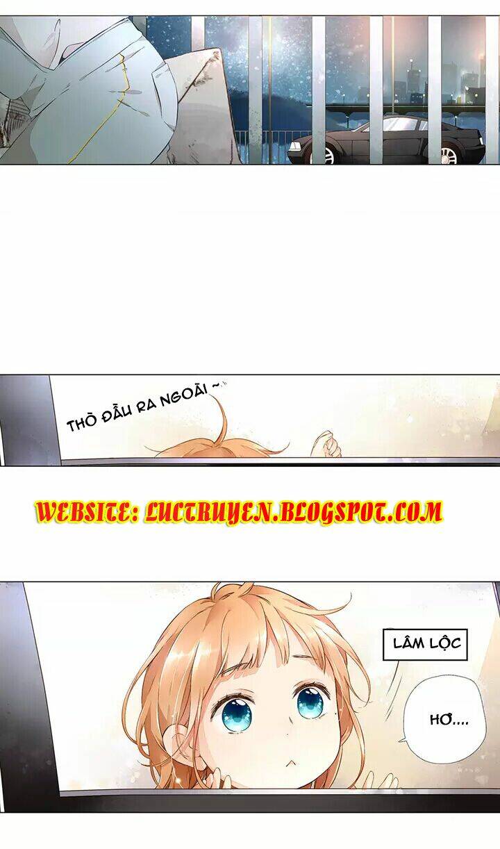 Tình Yêu Là Màu Hoa Anh Thảo: Chapter 16.5