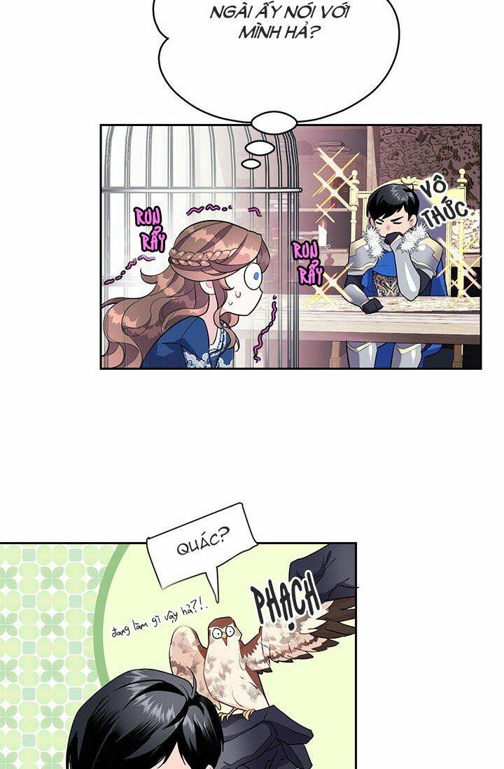 Công Chúa Của Loài Chim: Chapter 8