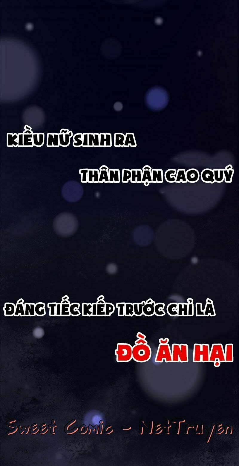 Thịnh Sủng Kiều Nữ Trở Về Triều Ca: Chapter 0