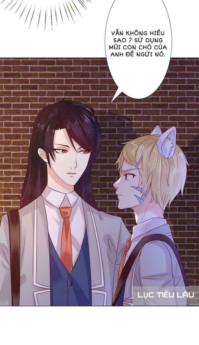 Băng Sơn Học Trưởng Không Được Chọc: Chapter 15