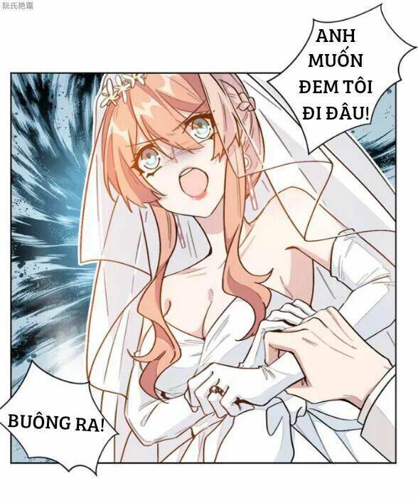 Trọng Sinh Noãn Hôn Khinh Sủng Thê: Chapter 8