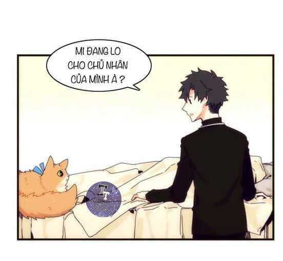 Biểu Đồ Của Linh Mục: Chapter 4