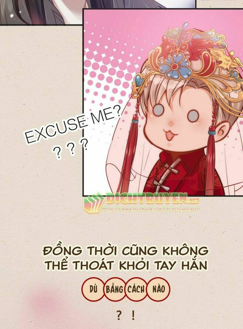 Phu Phu Khuynh Thành: Chapter 0