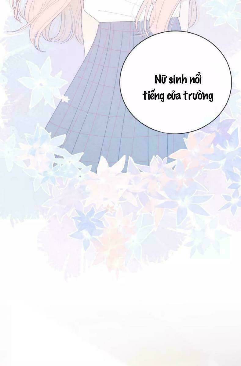 Từ Cái Nhìn Của Em: Chapter 38