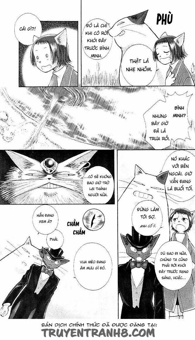 Lời Thì Thầm Từ Trái Tim: Chapter 9