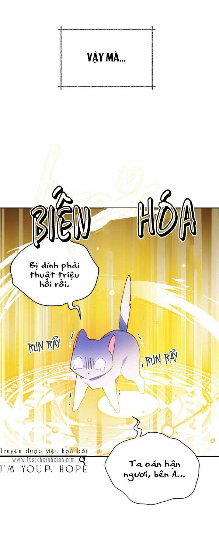 Nàng Elizabeth Thuần Khiết: Chapter 25