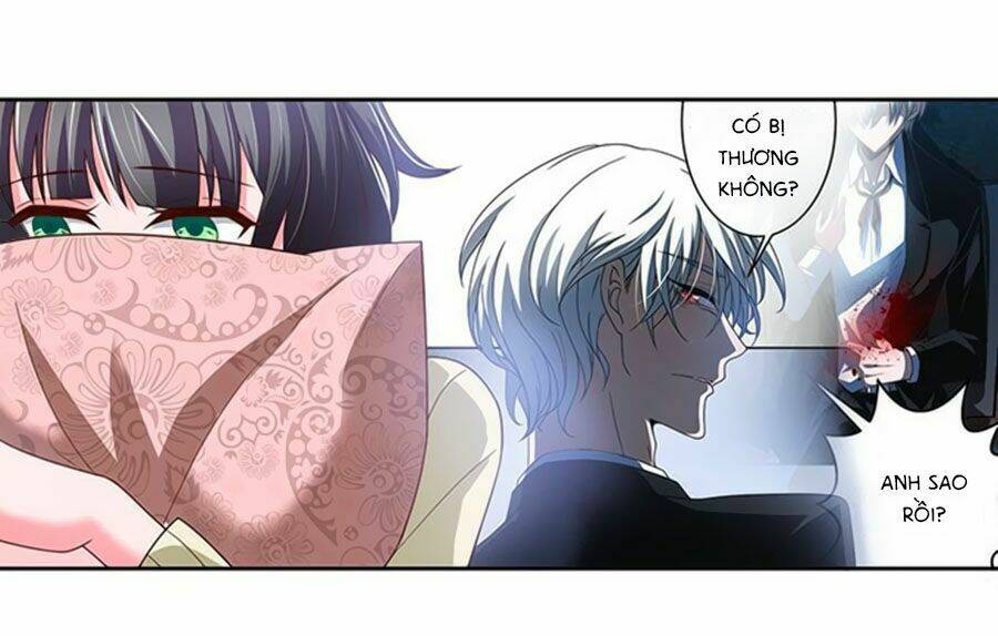 Người Yêu Khát Máu Của Tôi: Chapter 4