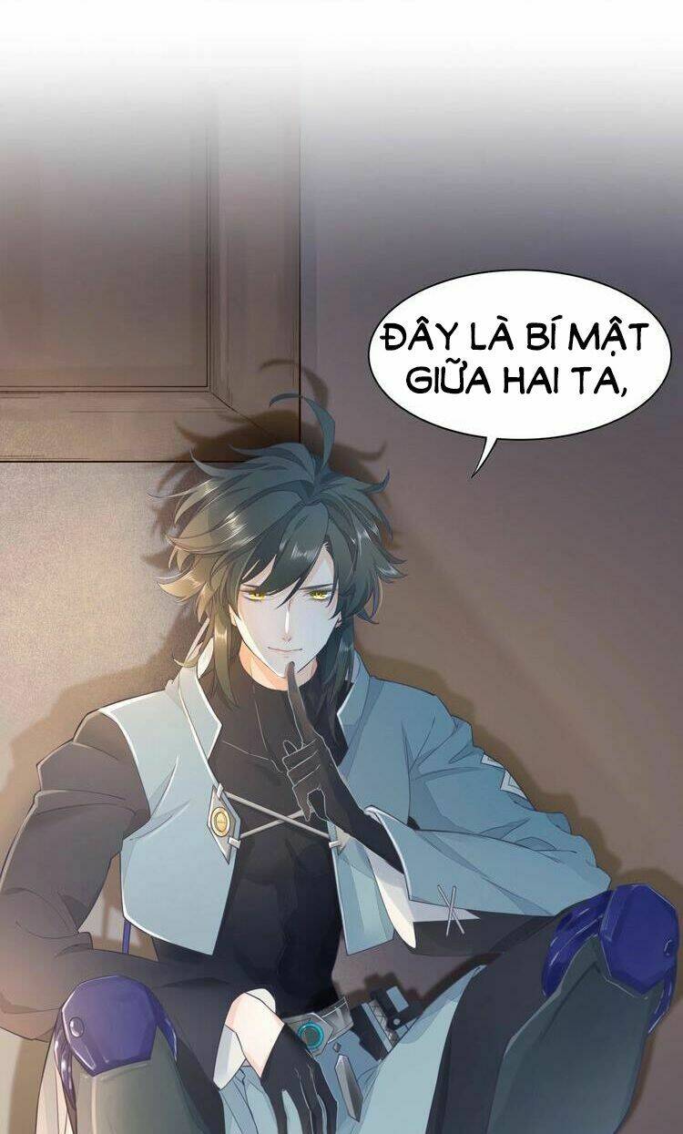 Trở Lại Trước Bình Minh: Chapter 1