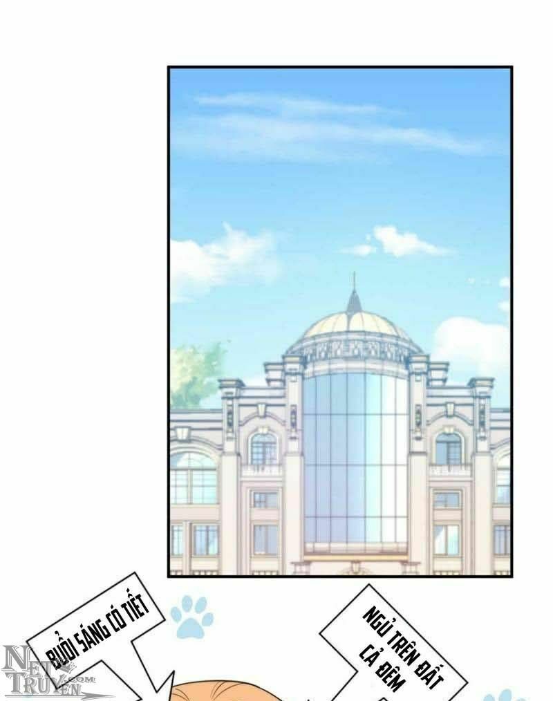 Ma Lạt Thiên Kim Đẩu Ác Thiếu: Chapter 237