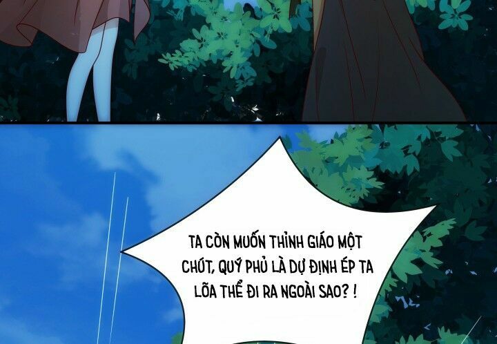Đô đốc đại nhân sủng thê kí: Chapter 3.1
