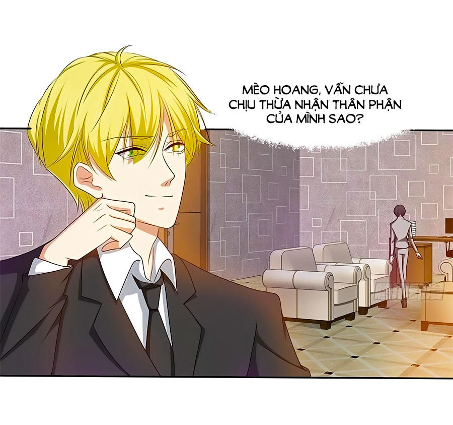 Cô Sát Thủ Ơi, Yêu Nhau Nhé: Chapter 12