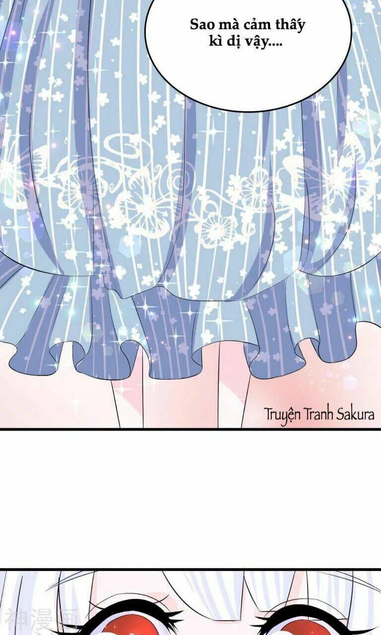 Tôi Vốn Dĩ Bị Bệnh Kiều: Chapter 20