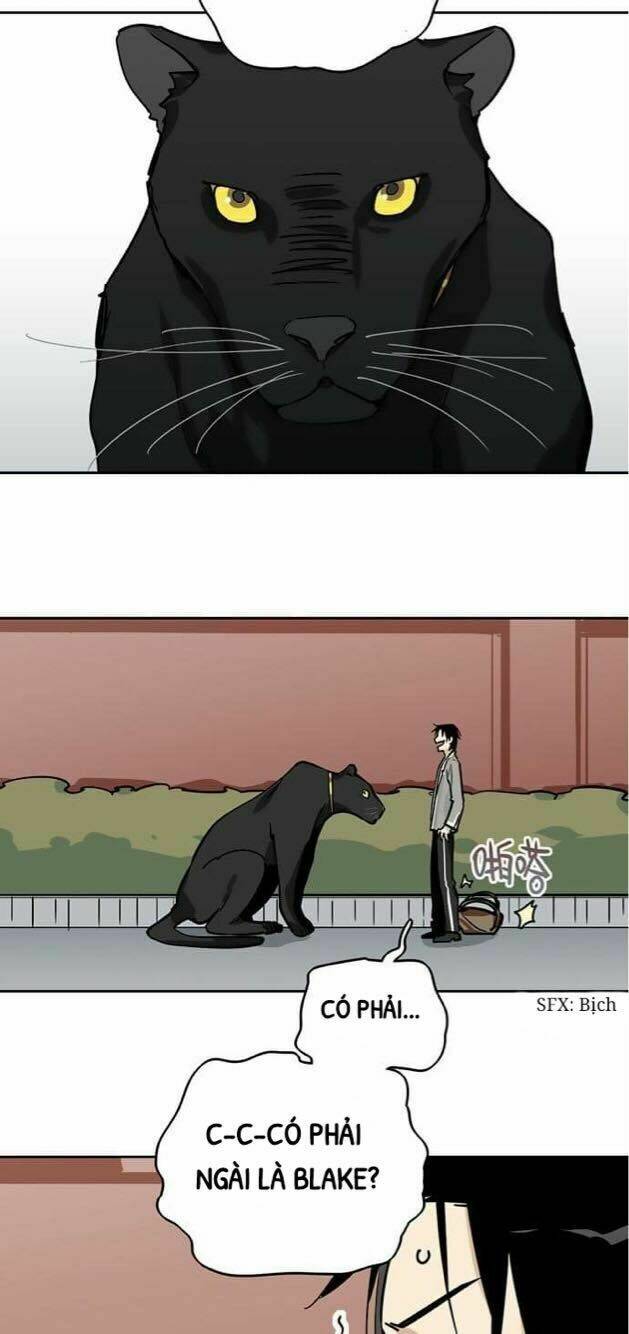 Nữ Nhân Tôi Thích Là Quái Kiệt!: Chapter 9