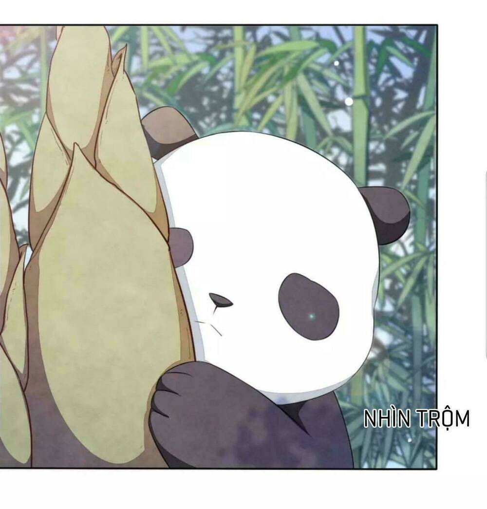 Xuyên Về Cổ Đại Làm Quốc Bảo: Chapter 6