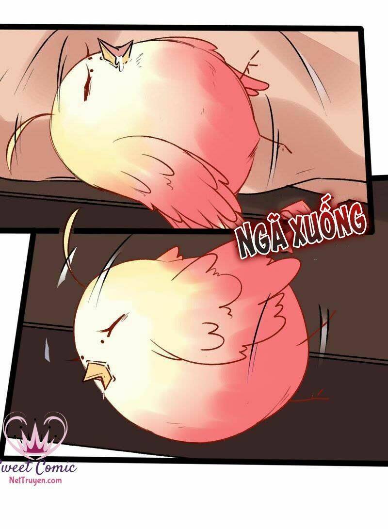 Thịnh Sủng Kiều Nữ Trở Về Triều Ca: Chapter 26