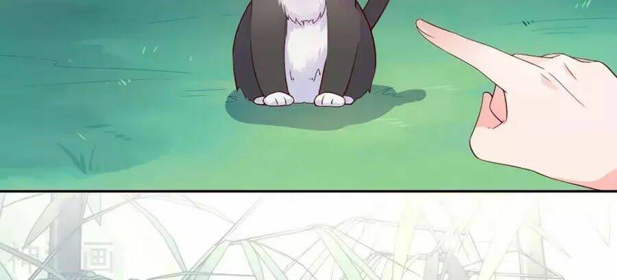 Điềm Mỹ Chi Huyết: Chapter 17