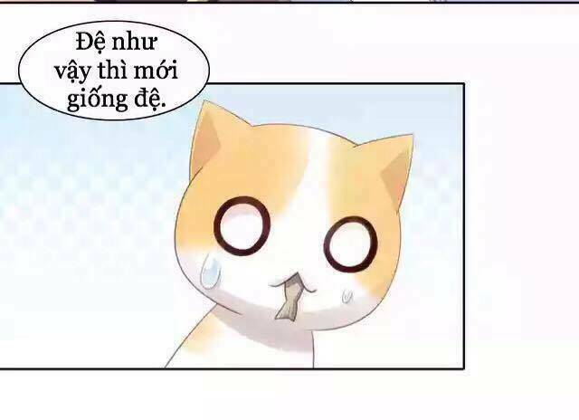 Dưới Móng Vuốt Mèo: Chapter 11