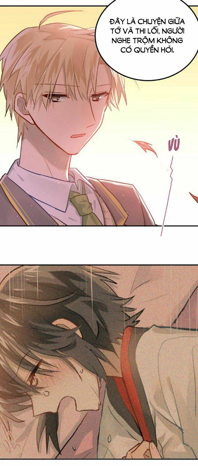 Đầu Gấu Biết Yêu: Chapter 102