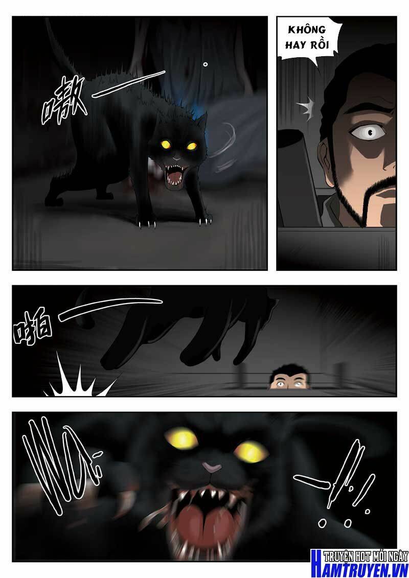 Ngụy Thủy Nghi Vân: Chapter 55