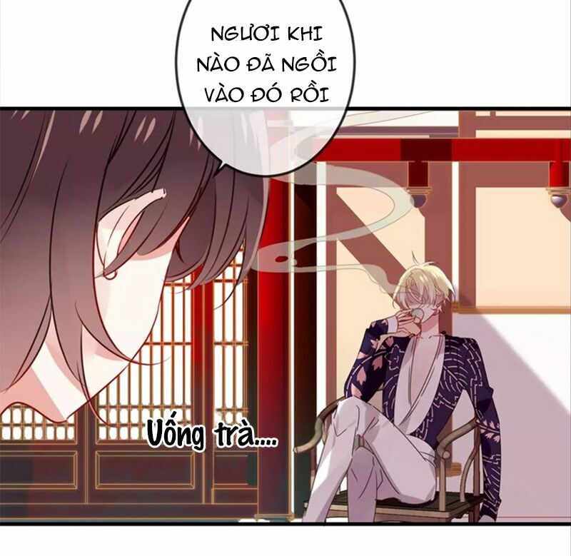 Ngô hoàng tại thượng: Chapter 5