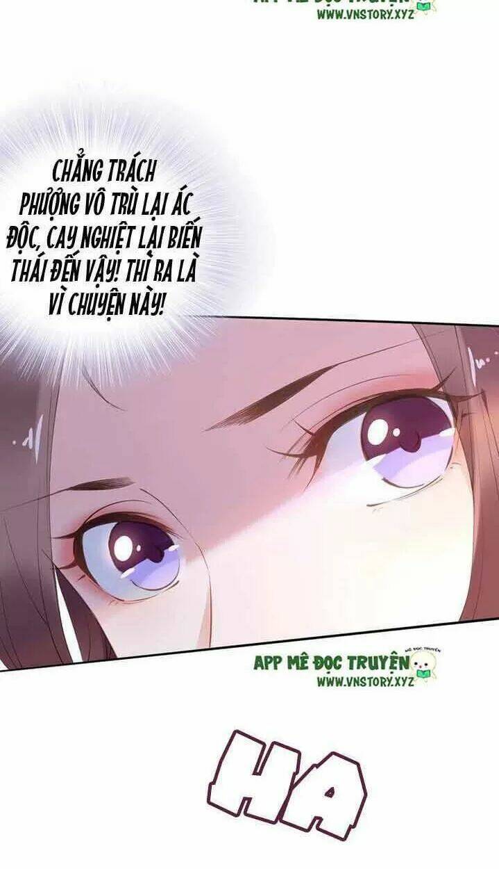 Nhất Sinh Nhất Thế Tiếu Thương Khung: Chapter 33