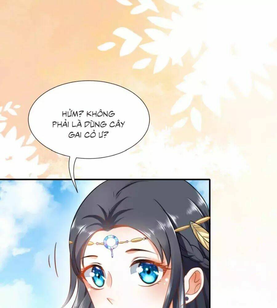 Sủng Hậu Của Vương: Chapter 15