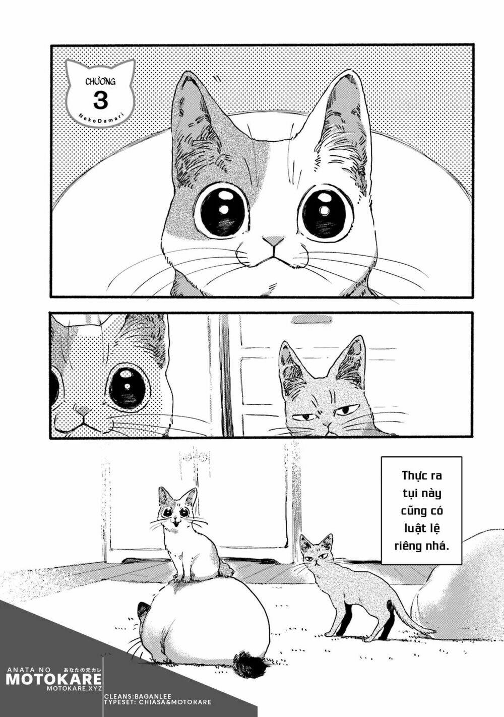 Nekodamari: Chapter 3