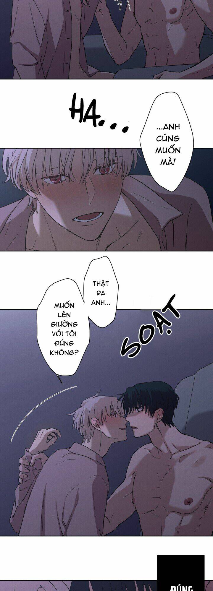 Trốn Tìm: Chapter 9