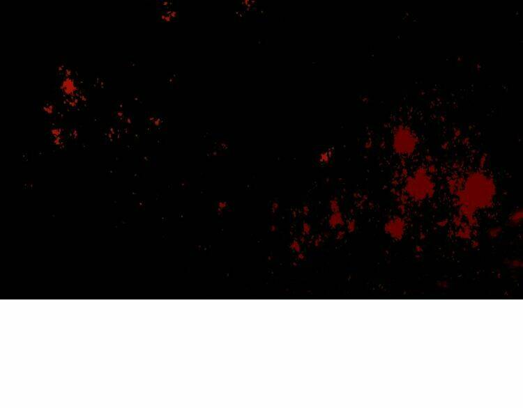 Hoa Nhan Sách: Chapter 61.2