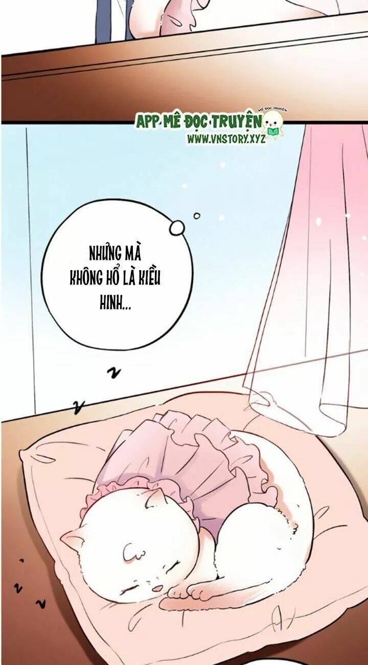 Trạch Thượng Tịch Mịch Huỳnh Hỏa: Chapter 21