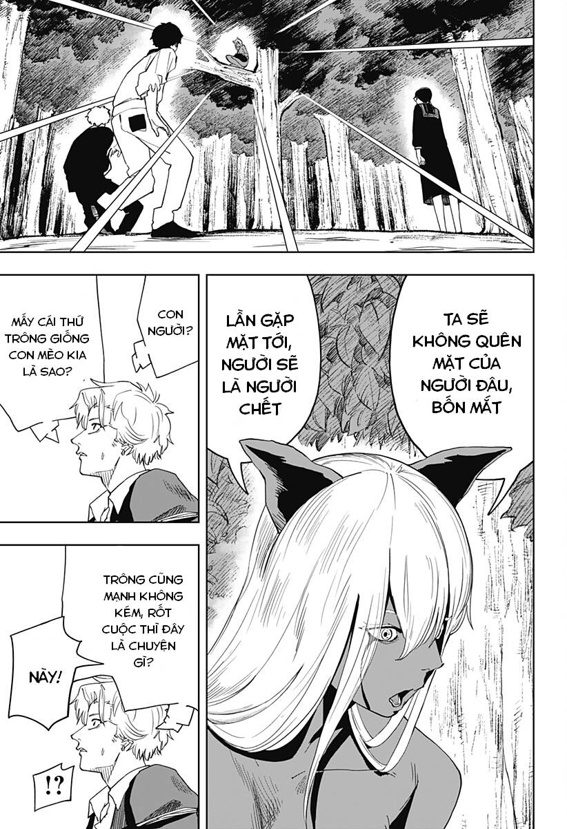 Stage S: Chapter 8