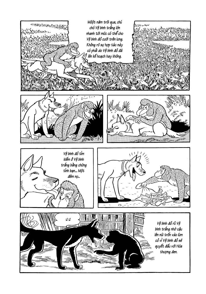 Chim Lửa: Chapter 80