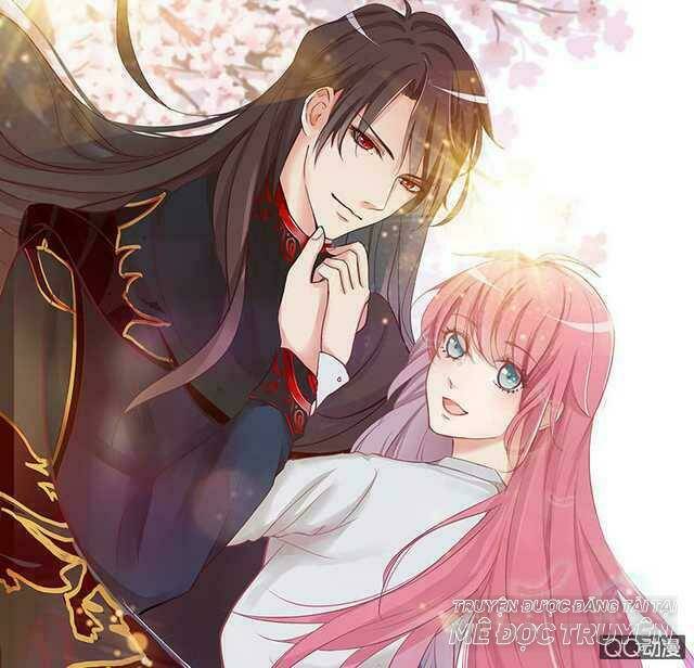 Băng Sơn Học Trưởng Không Được Chọc: Chapter 40.1