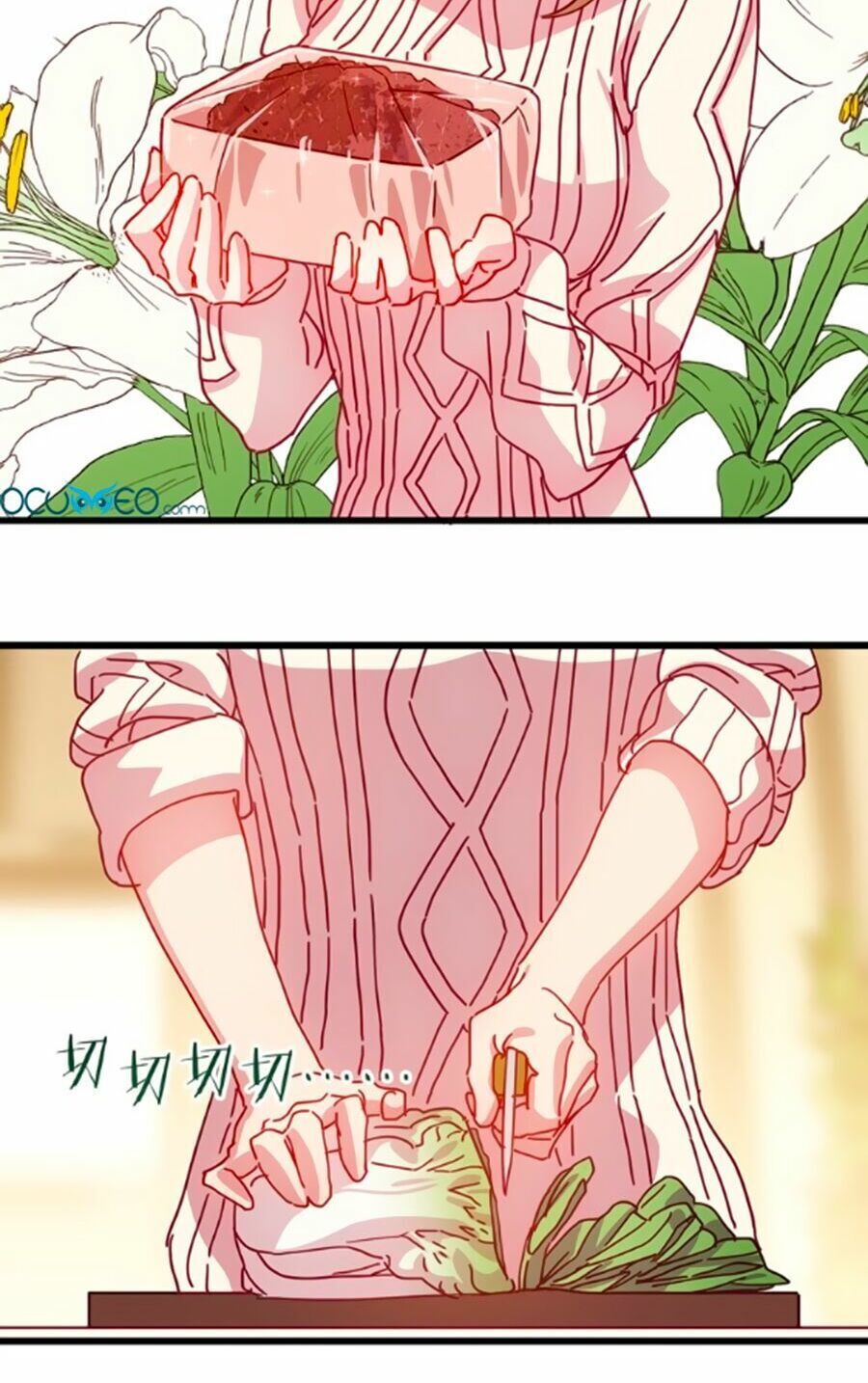 Bài Ca Tình Yêu: Chapter 10.5