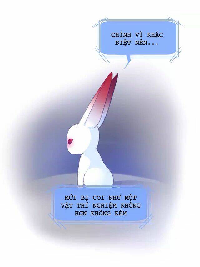 Hướng Dẫn Bảo Trì Người Máy: Chapter 19