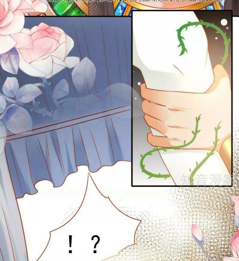 Sủng Hậu Của Vương: Chapter 56