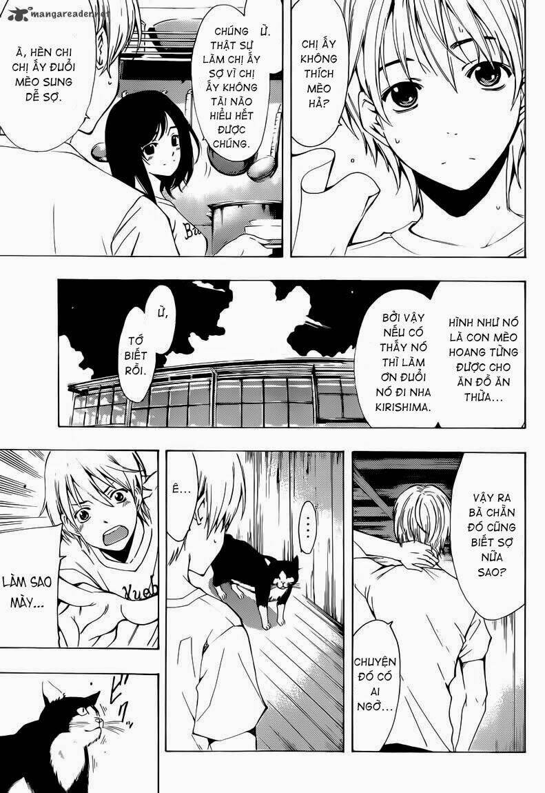 Thị Trấn Tình Yêu: Chapter 227