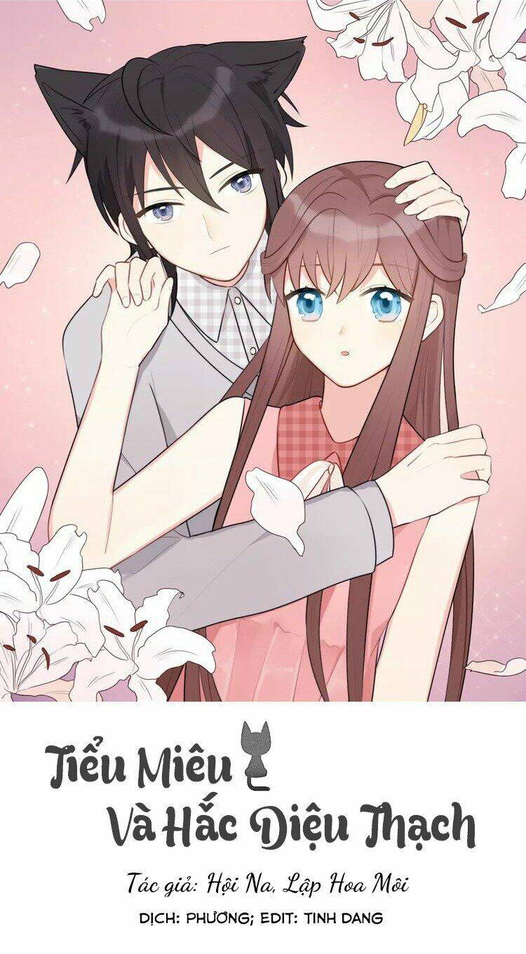 Tiểu Miêu Và Hắc Diệu Thạch: Chapter 21.1