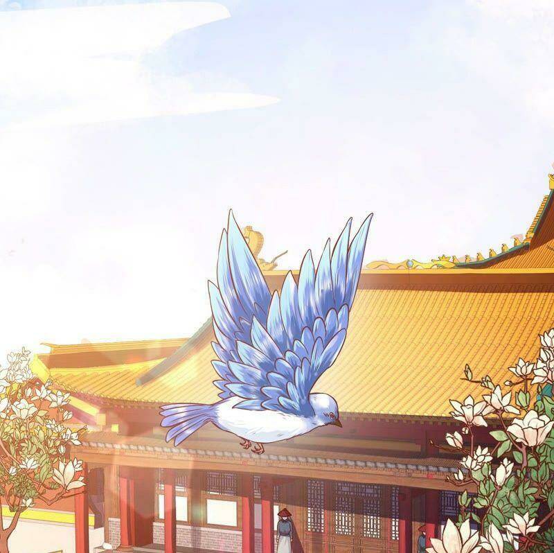 Quận Chúa Vững Vàng, Thiết Lập Nhân Vật Không Thể Vỡ: Chapter 3