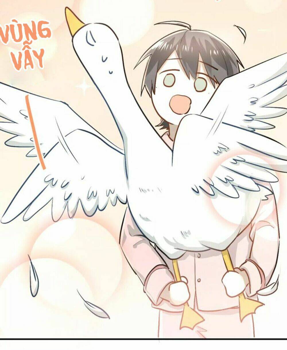 Đầu Gấu Biết Yêu: Chapter 49