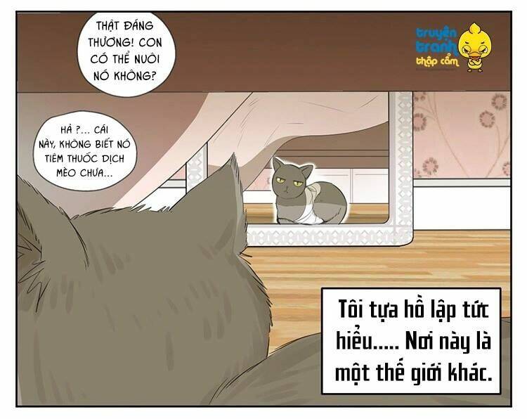 Cứu Mạng! Loài Mèo Thống Trị Thế Giới Rồi!: Chapter 24