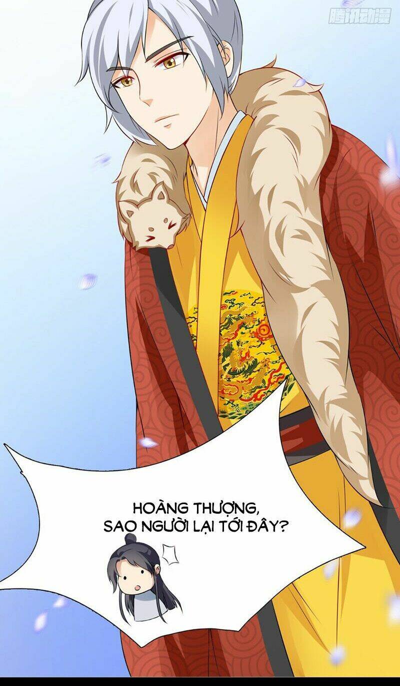 Tận Diệt Vương Gia Mãn Triều: Chapter 138
